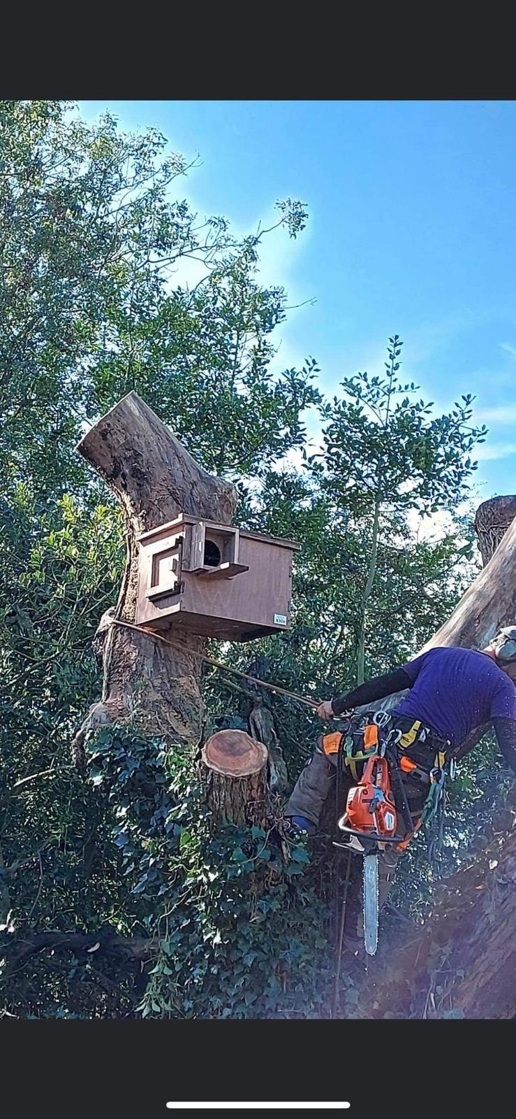 Outdoor clearance and tree work